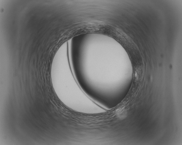 X0000085830867200703161027