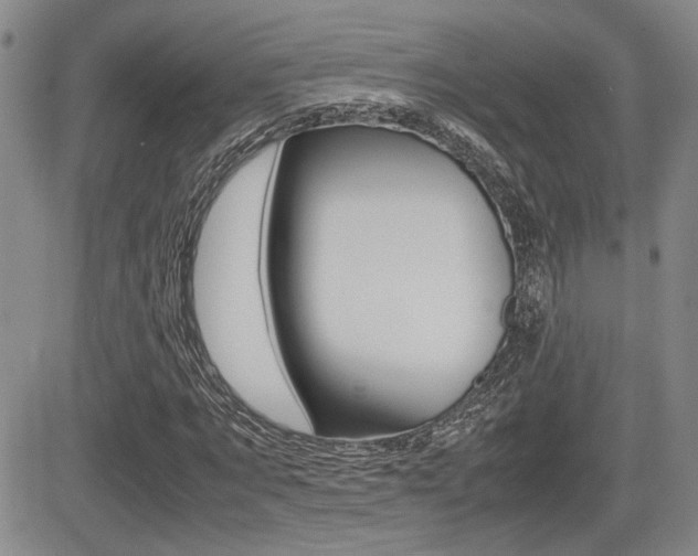 X0000085830869200703161027