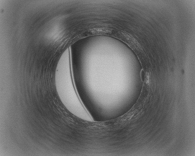 X0000085830915200703161026