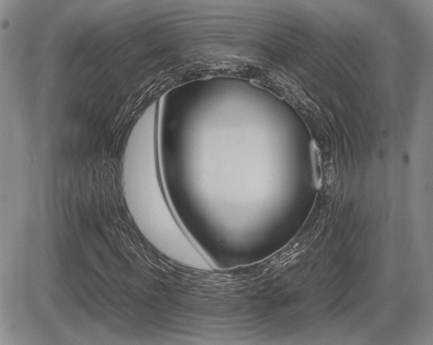 X0000085830916200703161026