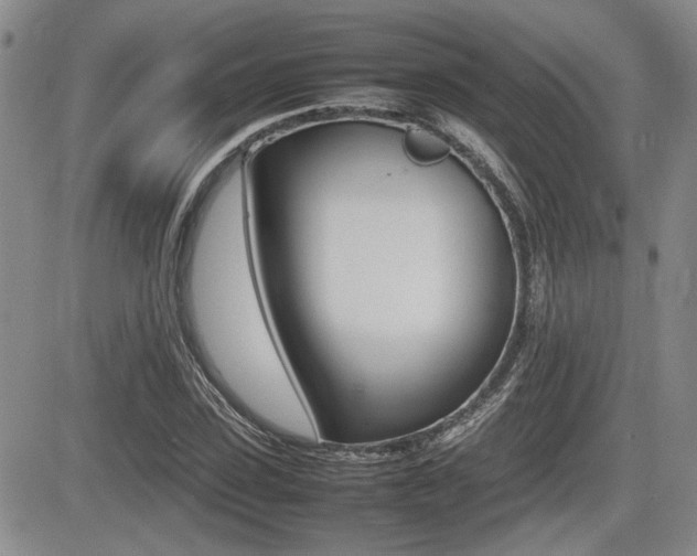 X0000085830923200703161026