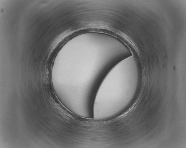 X0000085830926200703161026