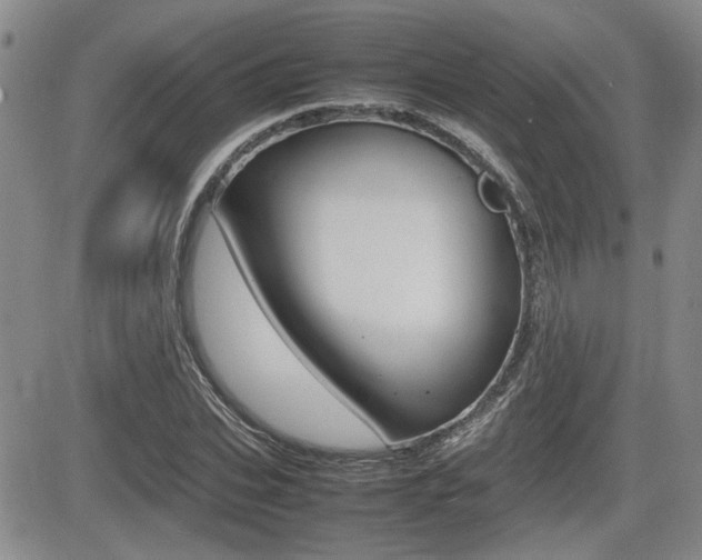 X0000085830927200703161026