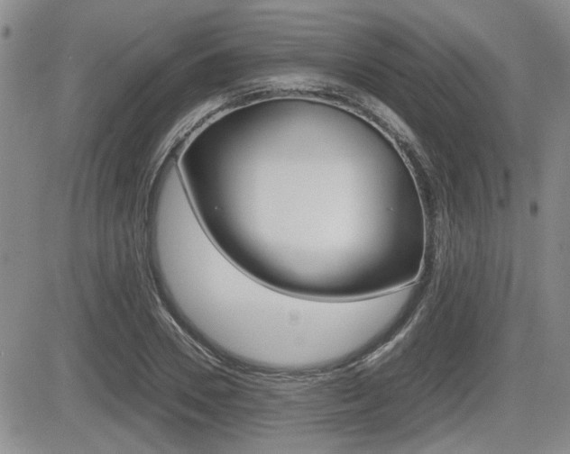 X0000085830930200703161026