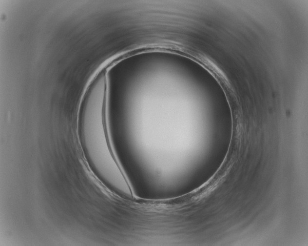 X0000085830940200703161026