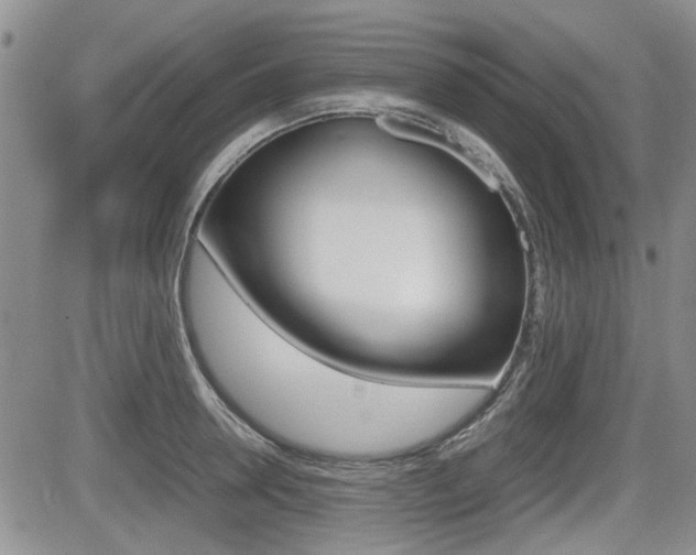 X0000085830946200703161026