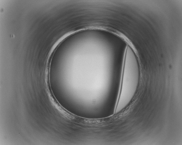 X0000085830955200703161026
