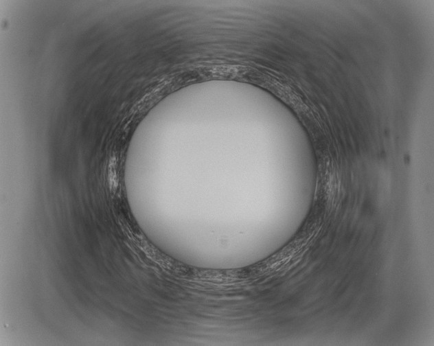 X0000085830962200703161025