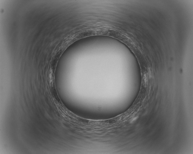 X0000085830963200703161025