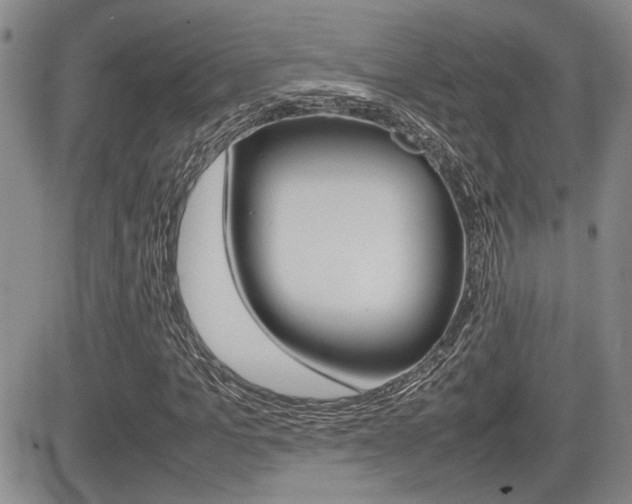X0000085830965200703161025