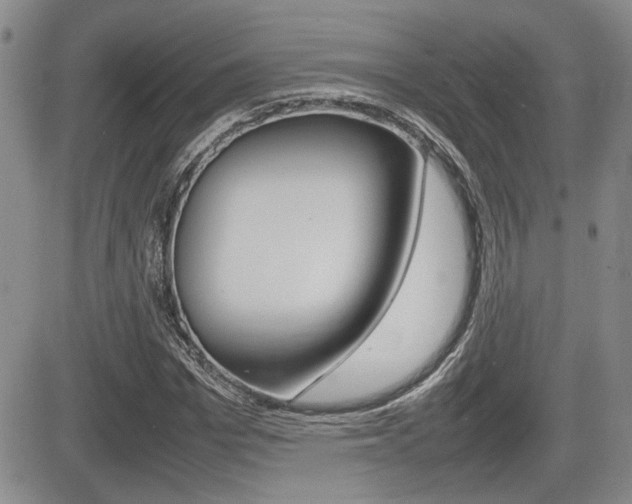 X0000085830969200703161025
