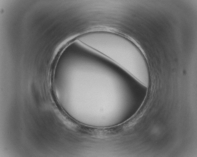 X0000085830987200703161025