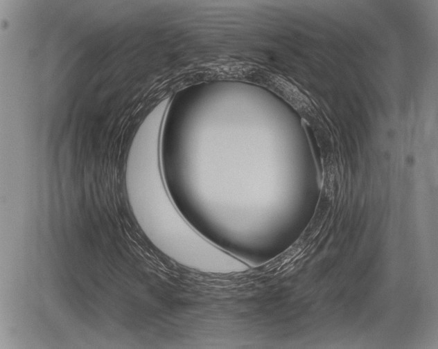 X0000085831010200703161024