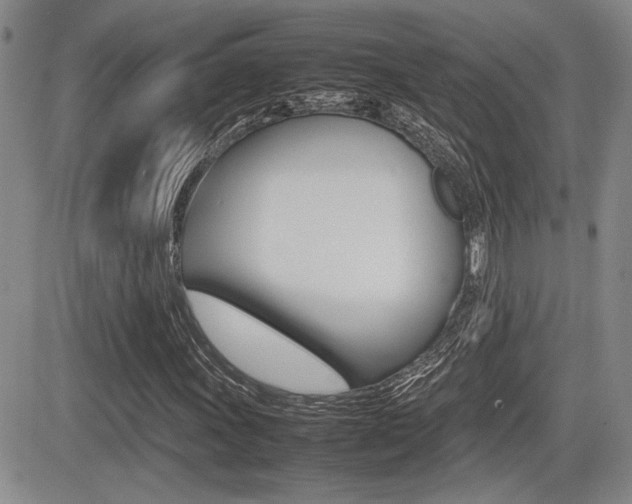 X0000085831011200703161024