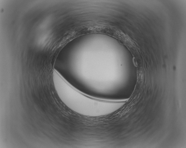 X0000085831012200703161024