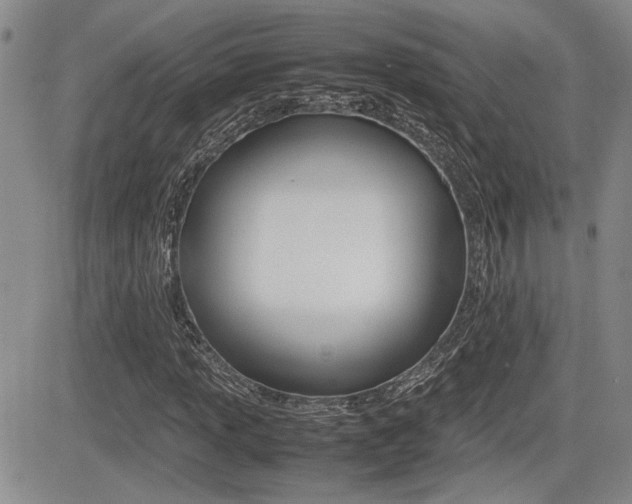 X0000085831013200703161024