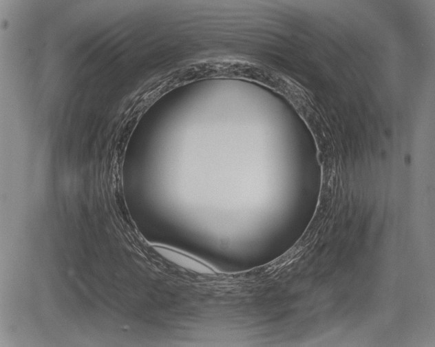 X0000085831014200703161024
