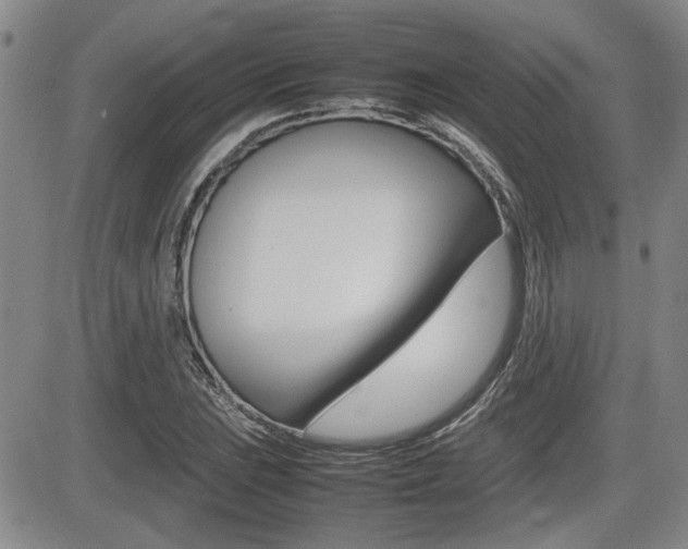 X0000085831023200703161024