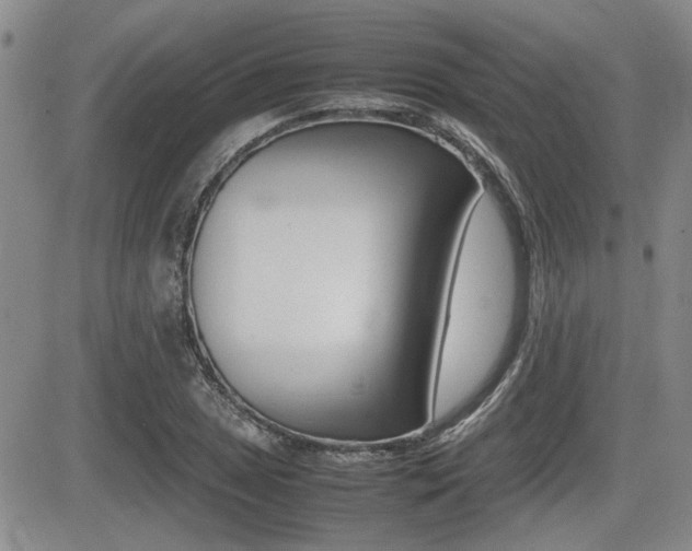 X0000085831025200703161024