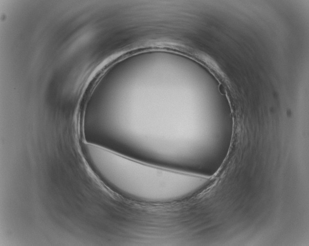 X0000085831032200703161024