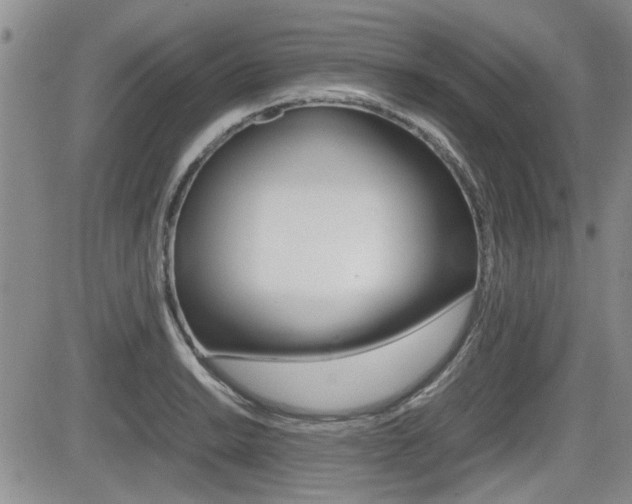 X0000085831038200703161024