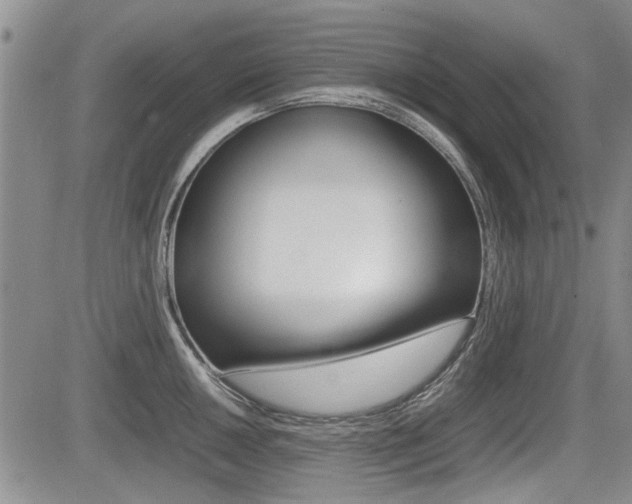 X0000085831050200703161025