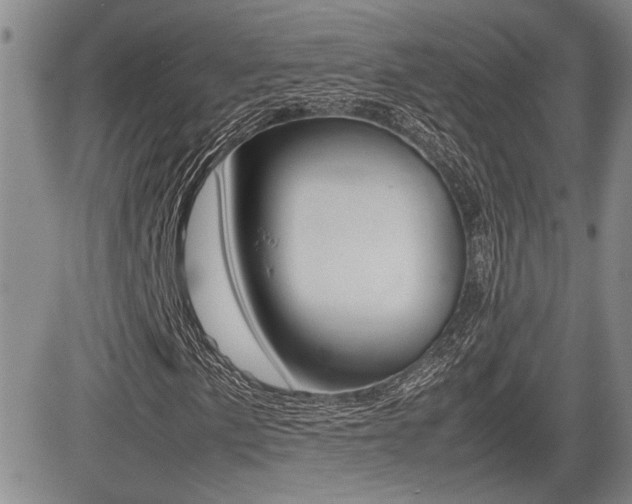 X0000085831057200703161024