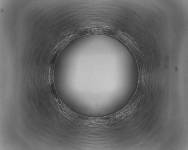 X0000085831060200703161024