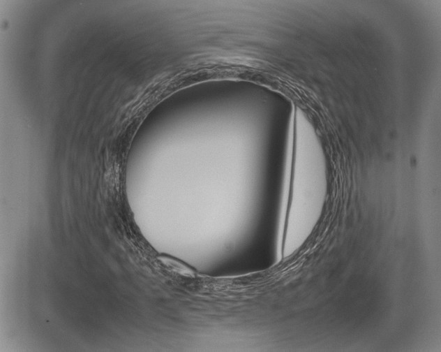 X0000085831061200703161024