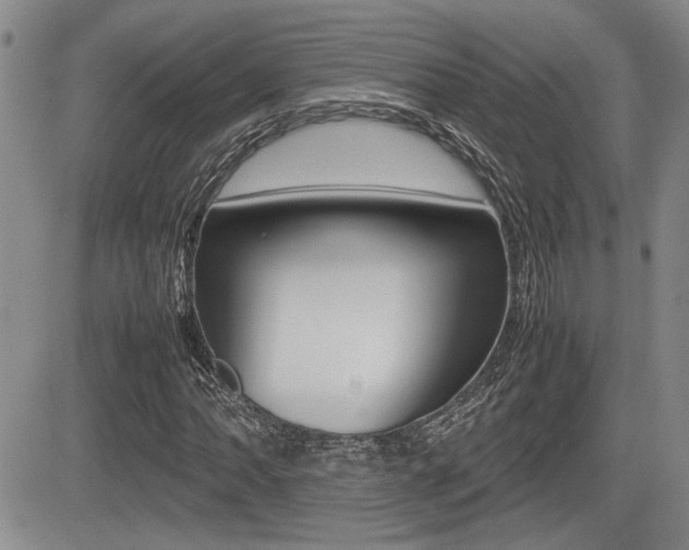 X0000085831062200703161024