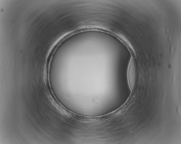 X0000085831076200703161024