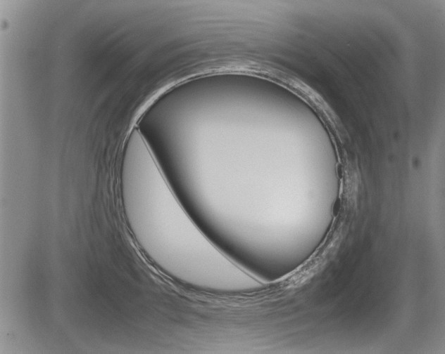 X0000085831097200703161023