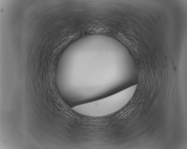X0000085831105200703161022
