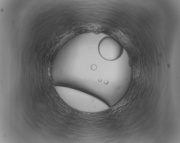 X0000085831106200703161022