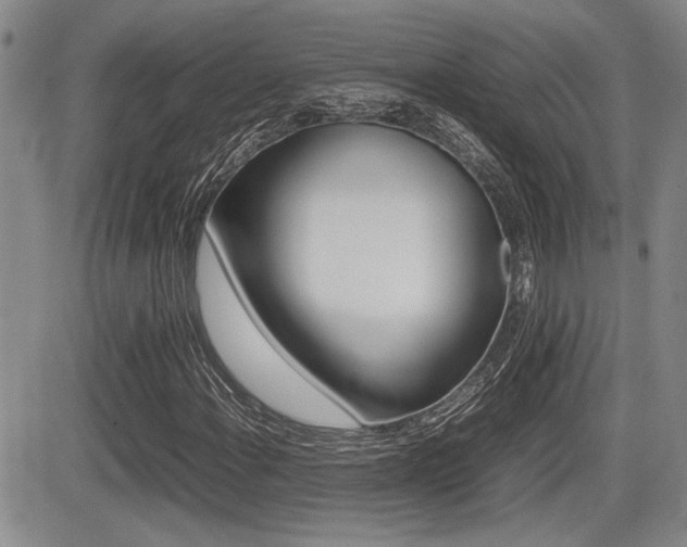 X0000085831108200703161022