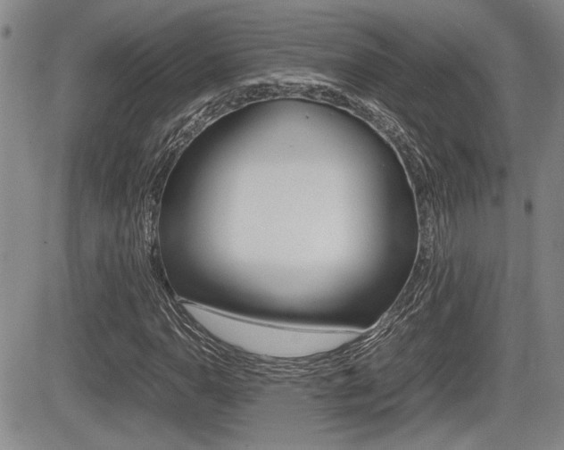 X0000085831110200703161022