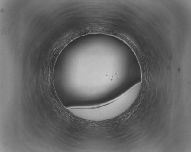 X0000085831111200703161022
