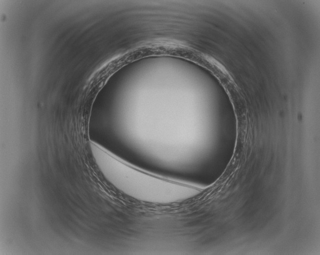 X0000085831112200703161022