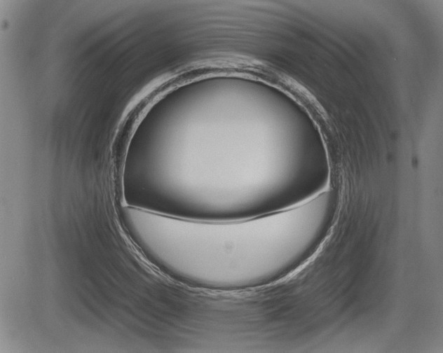 X0000085831114200703161022