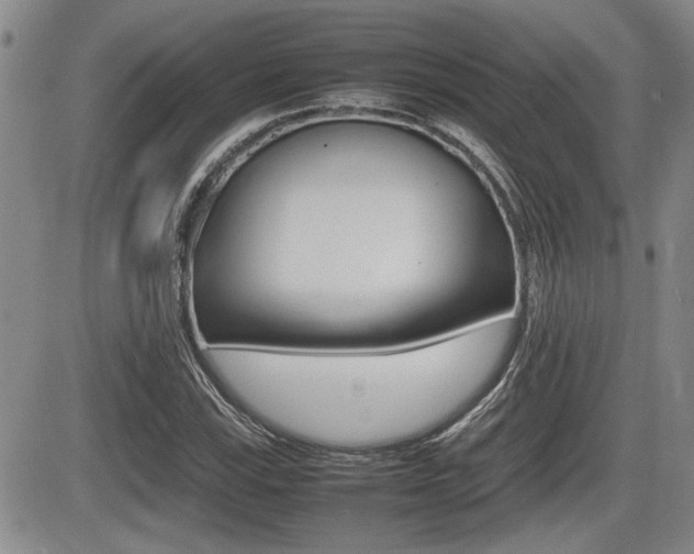 X0000085831115200703161022