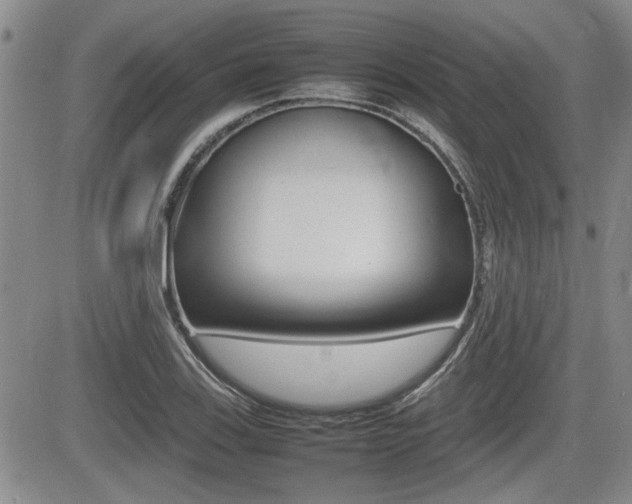 X0000085831123200703161023