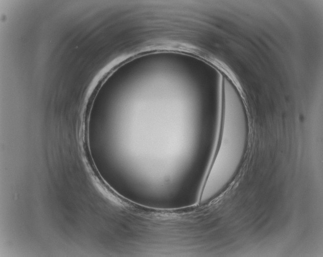 X0000085831136200703161023