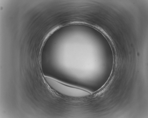 X0000085831145200703161023