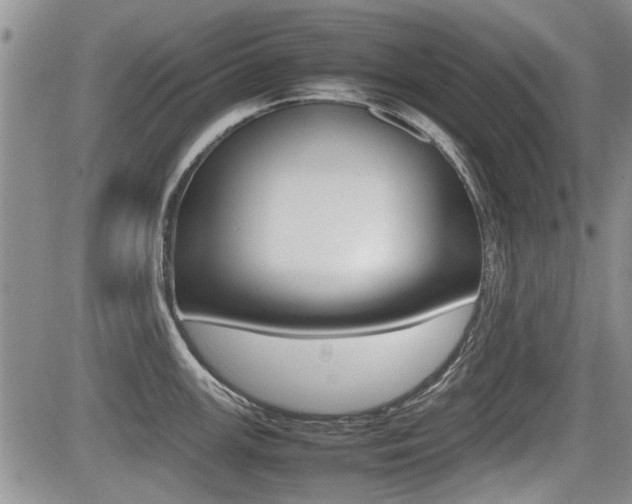 X0000085831147200703161023