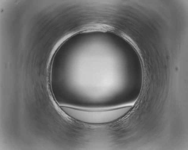 X0000085831152200703161023