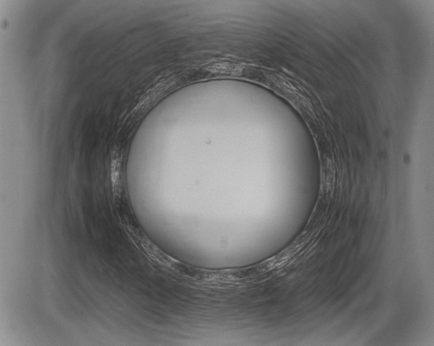 X0000085831154200703161022