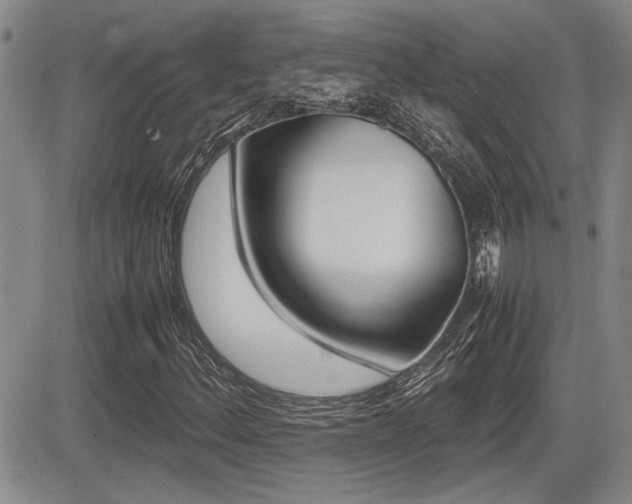 X0000085831156200703161022