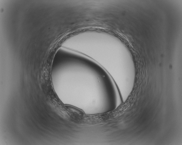 X0000085831159200703161022