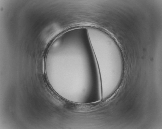 X0000085831171200703161022
