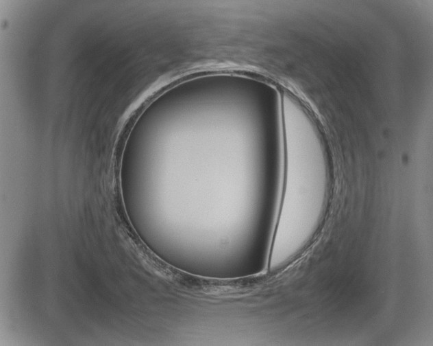 X0000085831173200703161022
